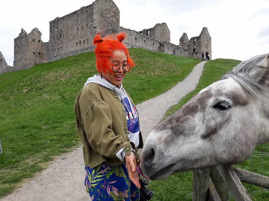 national unicorn day, unicorn, scotland, tours of scotland